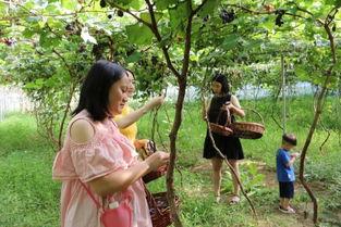 宝妈吃瓜聚会,共享亲子时光