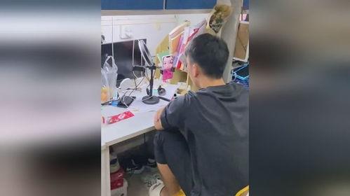 高校吃瓜恋爱群,揭秘吃瓜群里的甜蜜与酸涩