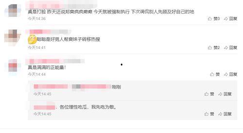 外网评论吃瓜船,网络热议背后的真相与反思