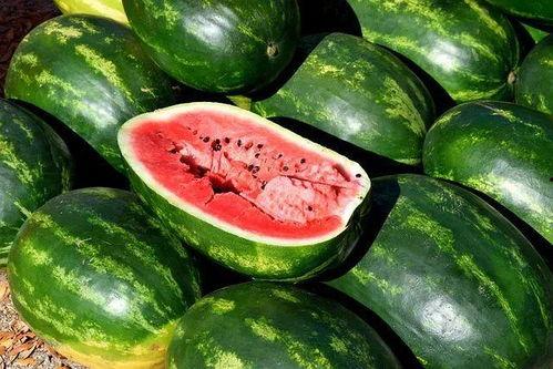 爆品免费吃瓜,揭秘美食狂欢背后的秘密