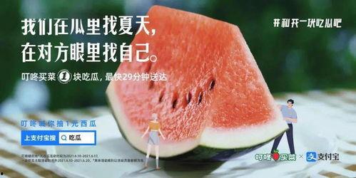 最新吃瓜文案100个,揭秘娱乐圈幕后真相与趣味瞬间