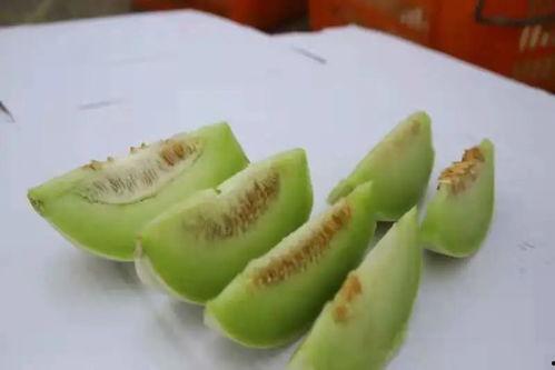 麓枫吃瓜,揭秘娱乐圈幕后故事