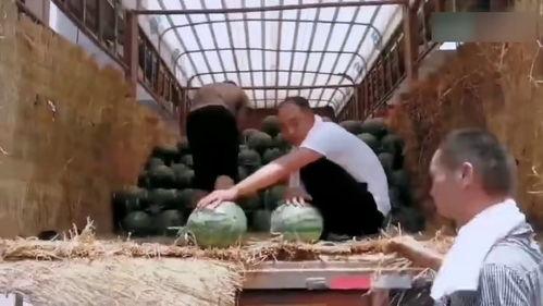 吃瓜商洛学院,吃瓜群众眼中的校园生活剪影