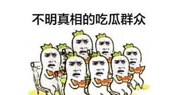 喝茶吃瓜群众,品味生活，共享闲情