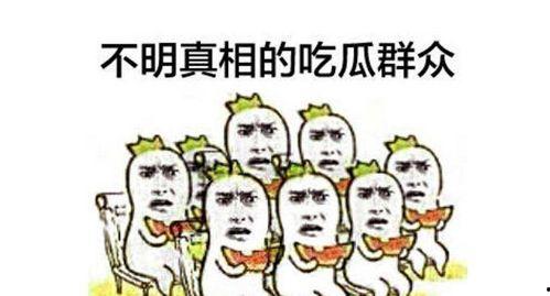 吃瓜群众季先生,揭秘娱乐圈幕后风云