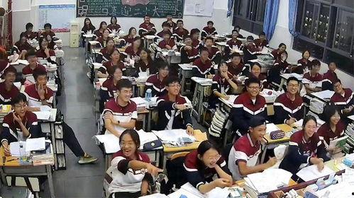 打架集体吃瓜视频,吃瓜群众的力量
