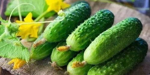 冬至可以吃瓜,暖意融融的冬日美食新风尚