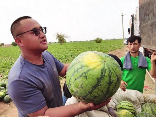 呆毛吃瓜,揭秘娱乐圈的甜蜜与苦涩