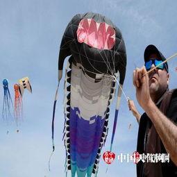 奇葩风筝带你吃瓜,跟随奇葩风筝，开启一场别开生面的吃瓜之旅