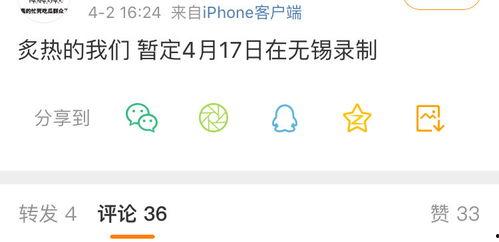 吃瓜传瓜犯法吗,法律边界与网络传播的权衡