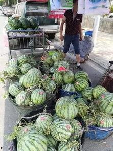 临朐西城吃瓜事件,一场引发热议的街头冲突纪实