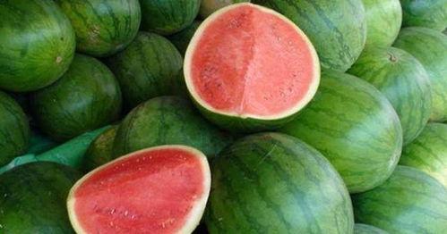 吃瓜吃大瓜吃瓜怎么回复