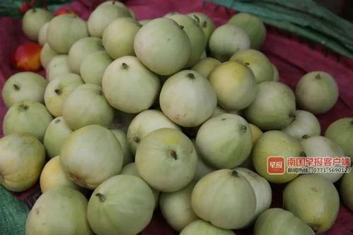 红桃吃瓜热门,揭秘网络热门话题背后的真相与笑料