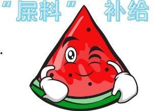 大行吃瓜现场搞笑,笑料百出，欢乐无限