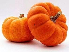 吃瓜小灯泡,网络红人的崛起之路